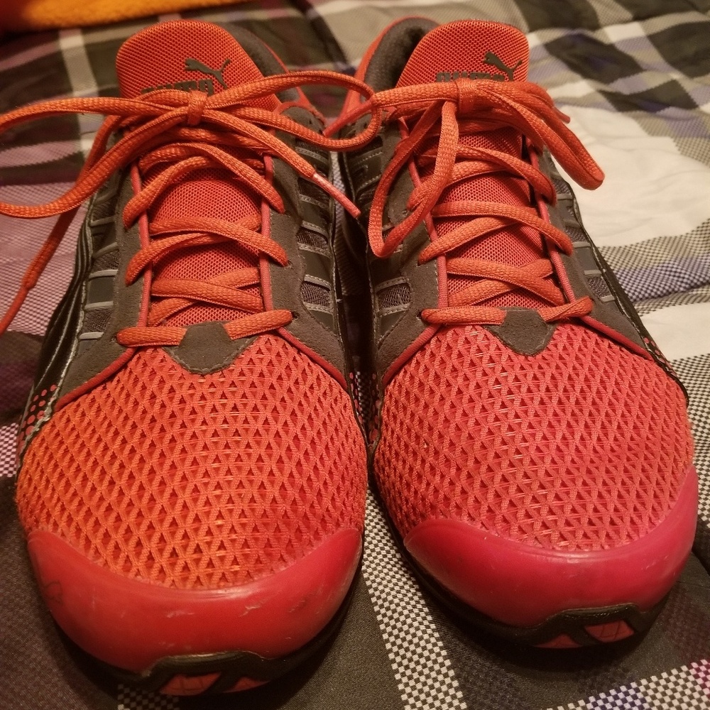 Puma Iocell